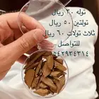 بخور مروكي دقة فاخر- محسن بيور