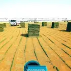 ثيل طبيعي تنسيق حدائق