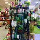 الجبيل  المنطقة الشرقية