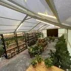 أشجار زينة و نباتات داخلية