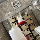 عشة روز البينو