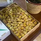 سكري القصيم