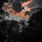 مدفوع مبلغ للسعي