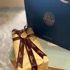 عطر فيتفير من نيكولاي