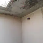 بناء الملاحق والمجالس سقف الارتدادات