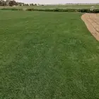 ثيل سي الفين درجه اولى