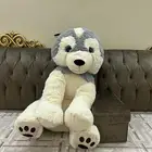دمية ( دب ) للبيع