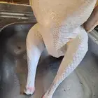 نصف ديك رومي وديك كامل