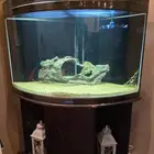 حوض سمك للبيع