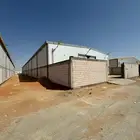 مصنع خطورة عالية للإيجار