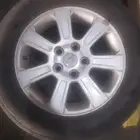 جنوط كابرس وكالة نظيييفة جدا
