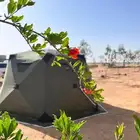 خيمة ديسكفري 3 في 3