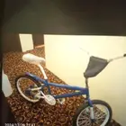 الموقع ممش القديم الشوقيه بدون توصيل