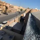 طارد حمام بالرياض