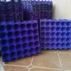 أطباق بيض فارغه