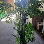 عروض العيد الوطني على الشجر الصناعي