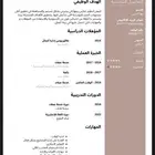 سيرة ذاتية احترافية pdf اللغتين في نفس اليوم