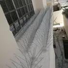 شوك طارد الحمام بالمدينة المنورة 0536591696