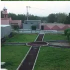 نجيلة طبيعية جميع الأنواع -ثيل طبيعي-افضل سعر