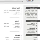 سيرة ذاتيه لغتين مدمج واحترافي باقل الاسعار CV ATS