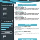 تصميم CV سيرة ذاتية احترافية