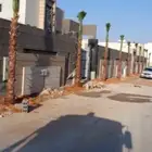 نخل واشنطني