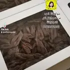 شوكولاتة العود