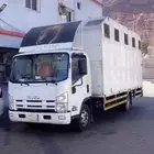 نقل خيل في القصيم