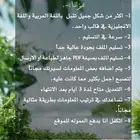 السيرة الذاتية بتصاميم حديثة