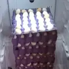 بيض بلدي وفيومي نظيف على الشرط الطبق 25