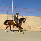 عسف خيل .