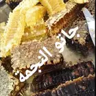 عسل نحل لأهل الخبرة