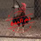 ديك عربي أفرق