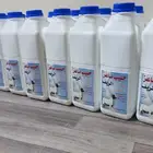 ألبان ماعز ريف نجد