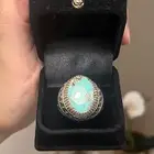 فيروز نيشابوري إيراني طبيعي 1