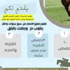 تعليم ركوب الخيل