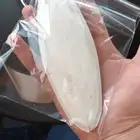 حبار حجم وسط جديد لجميع انواع الطيور