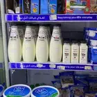 لبن البيضاء البلدي