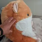 في الباحه العقيق للبيع دمية للبيع