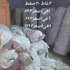 عرض اليوم الوطني خيام البادية 3غاط 30ضغط