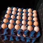 للبيع بيض بلدي نظيف انتاج اليوم 5 طبق