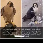 مفقود في الخرج