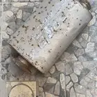 دبات موستنج بورلا