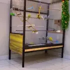 طلب زبون الله يباركله