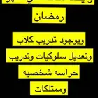 متوفر فندقة وتدريب كلاب