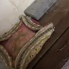 للبيع تراث