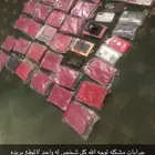 جرابات مشكله لوجه الله