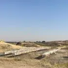 عسل طبيعي من انتاج مناحلنا
