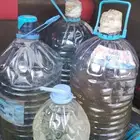 قاز كروسين جراكل