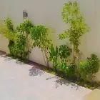 ترتيب الاحواض الداخلية